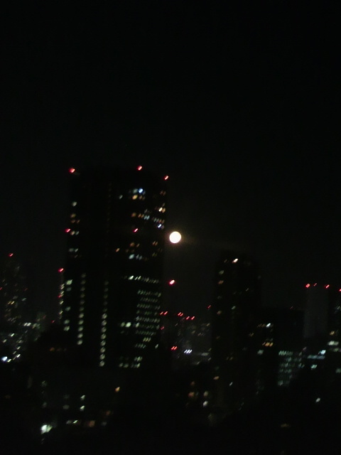 宵の月.jpg